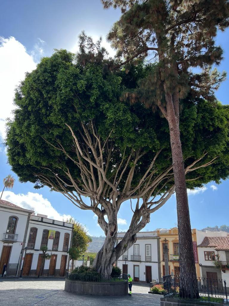 Ferienwohnung Casa En Teror Centrica Turismo De Ciudad Y Bosques Exterior foto